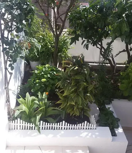 Konukevi & Anita Hvar Town